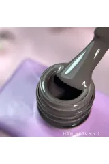 New Autumn #003 Kalıcı Oje-13ml
