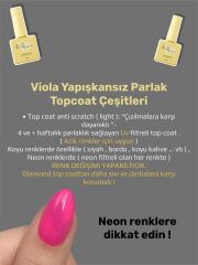 Top Coat Anti-Scratch Light-Açık Renkler İçin Darbelere Karşı Dayanıklı Top Coat (UV Filtreli)