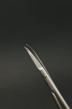 ZATOCHKAMSK (M-1355 JS)