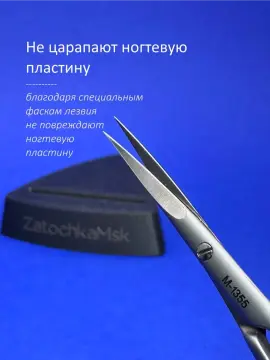 ZATOCHKAMSK (M-1355)