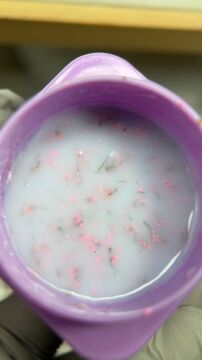 Liquid Poly Flower Jel #0004